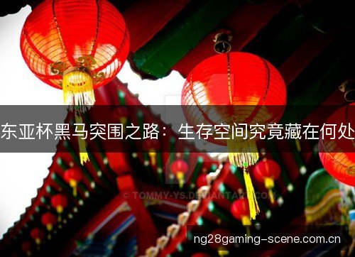 东亚杯黑马突围之路:生存空间究竟藏在何处 东亚杯黑马突围之路:生存空间究竟藏在何处